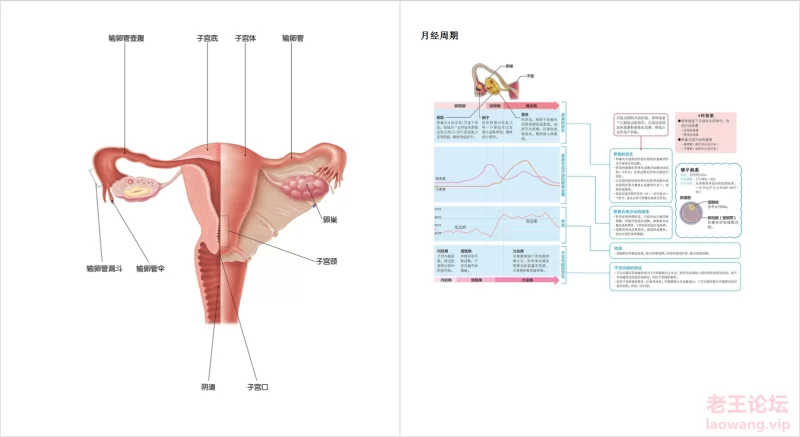 微信截图_20220619165713.png