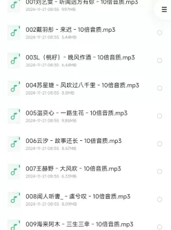 抖音网红热门歌曲(600首)精选集2024 [mp3格式/5.3GB]